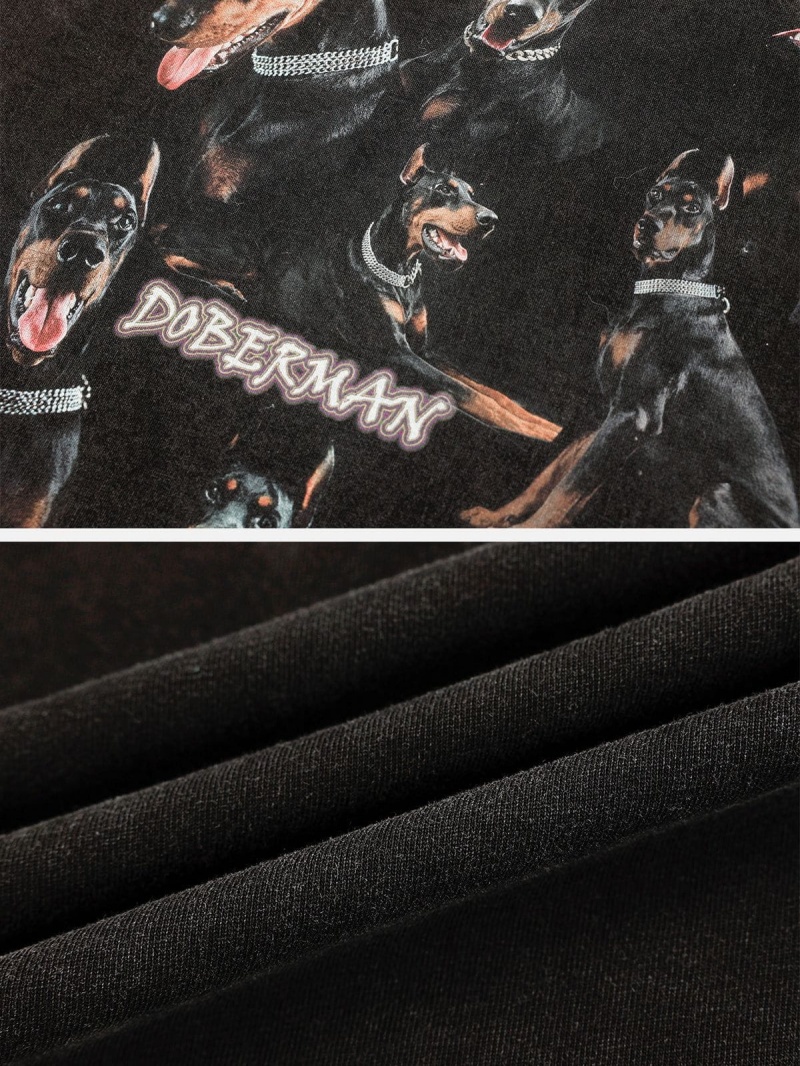 T Shirts Aelfric Eden Washed Doberman Graphique Tee Noir | ZSN-58819469